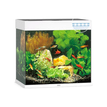 Juwel Lido 120 Led Acquario In Vetro Completo 61x41x58cm