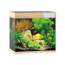 Juwel Lido 120 Led Acquario In Vetro Completo 61x41x58cm