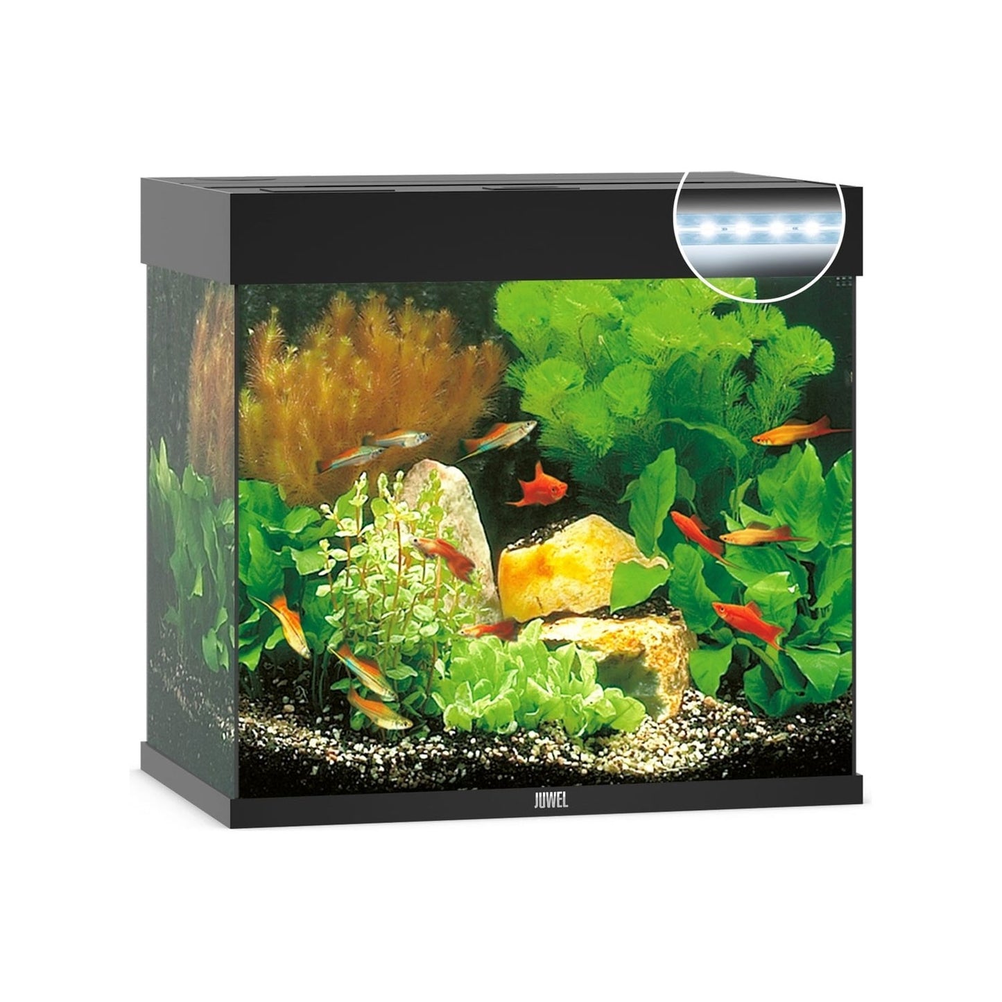 Juwel Lido 120 Led Acquario In Vetro Completo 61x41x58cm