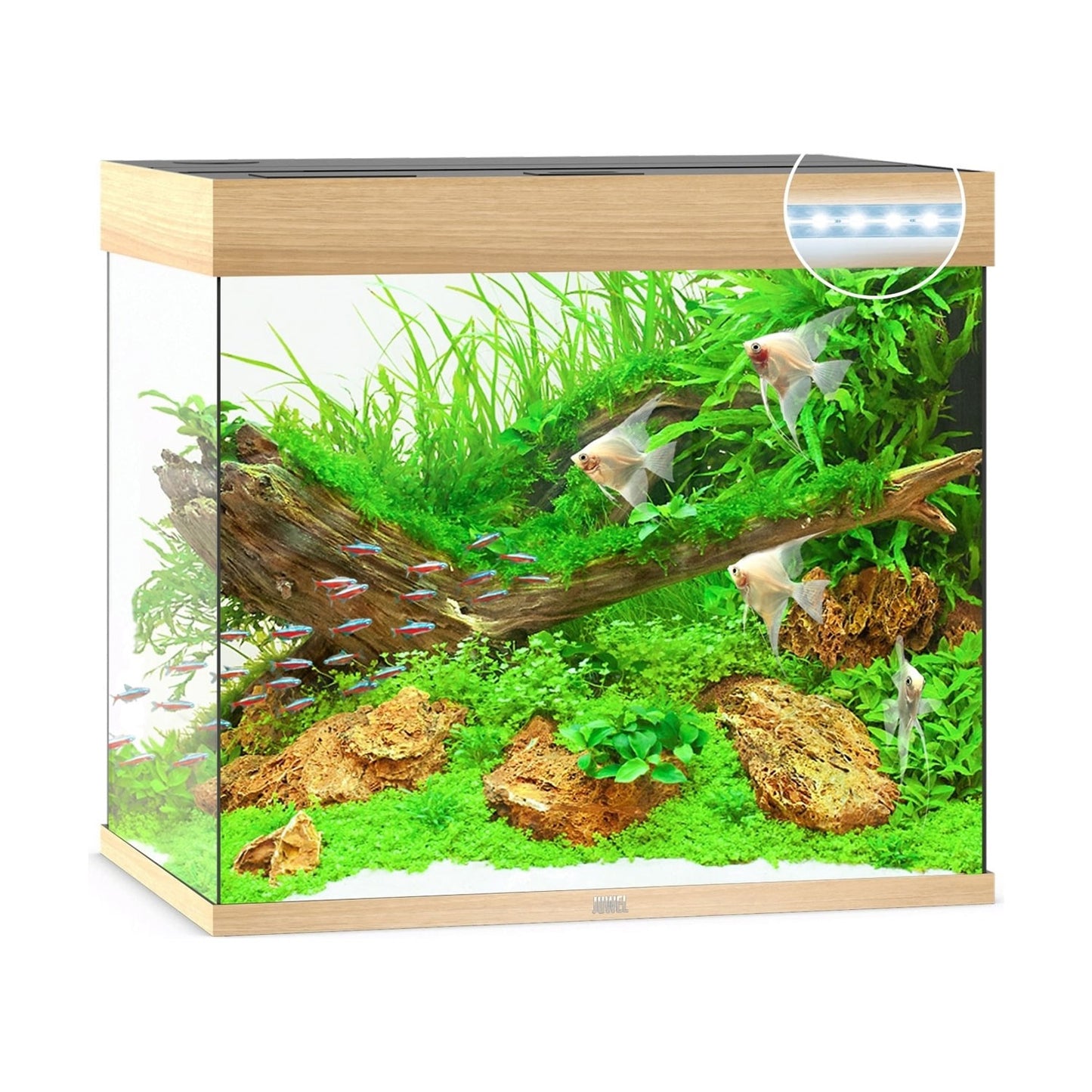 Juwel Lido 200 Led Acquario In Vetro Completo 71x51x65cm