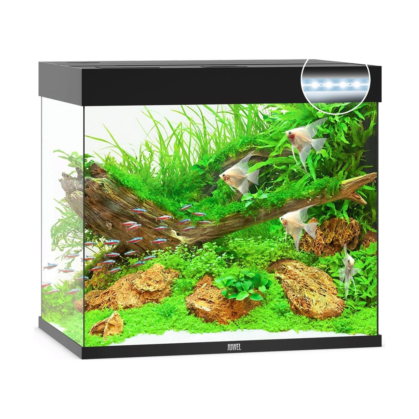 Juwel Lido 200 Led Acquario In Vetro Completo 71x51x65cm