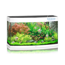 Juwel Vision 180 Led Acquario In Vetro Completo 92x41x55cm