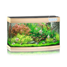 Juwel Vision 180 Led Acquario In Vetro Completo 92x41x55cm