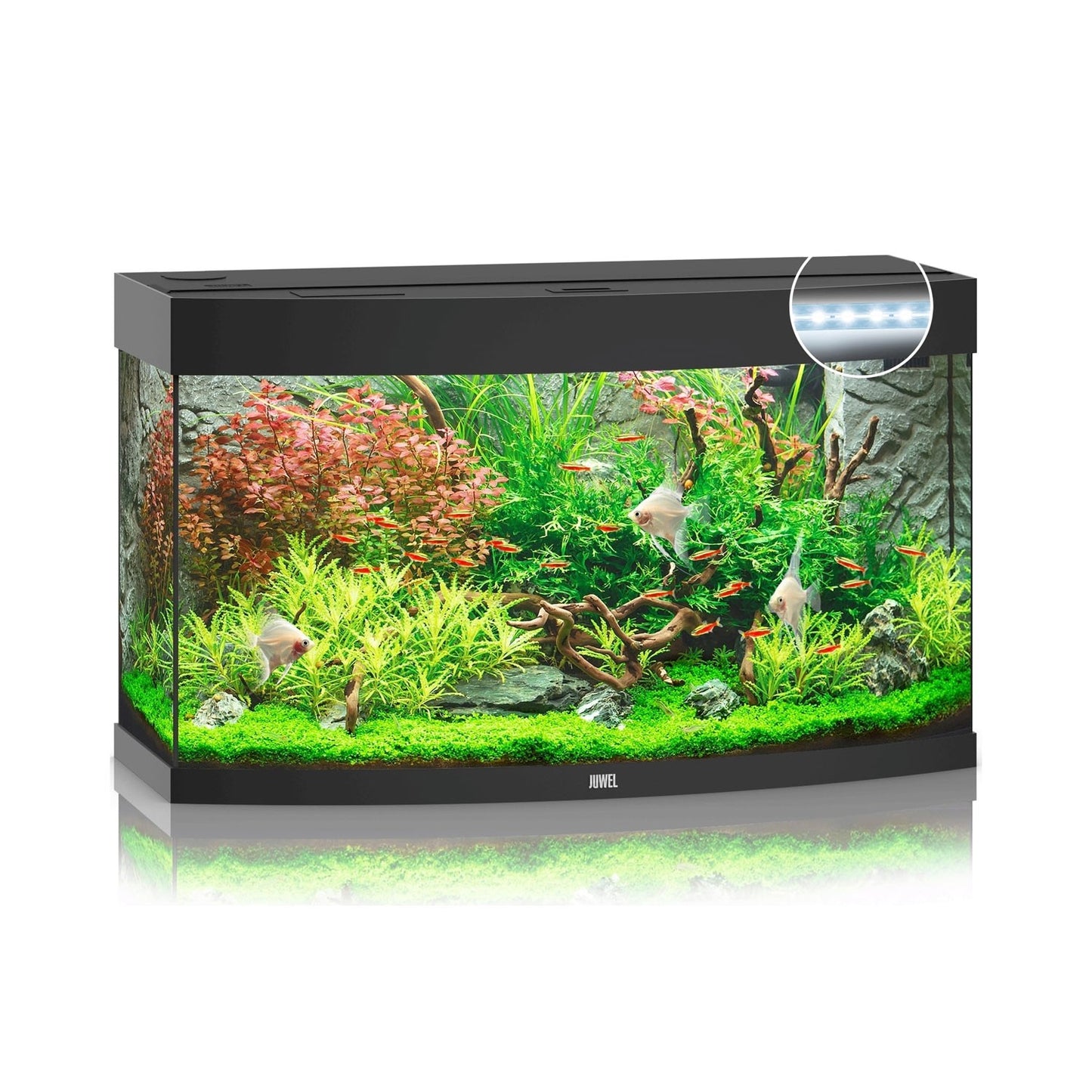 Juwel Vision 180 Led Acquario In Vetro Completo 92x41x55cm