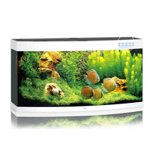 Juwel Vision 260 Led Acquario In Vetro Completo 121x46x64cm