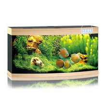 Juwel Vision 260 Led Acquario In Vetro Completo 121x46x64cm