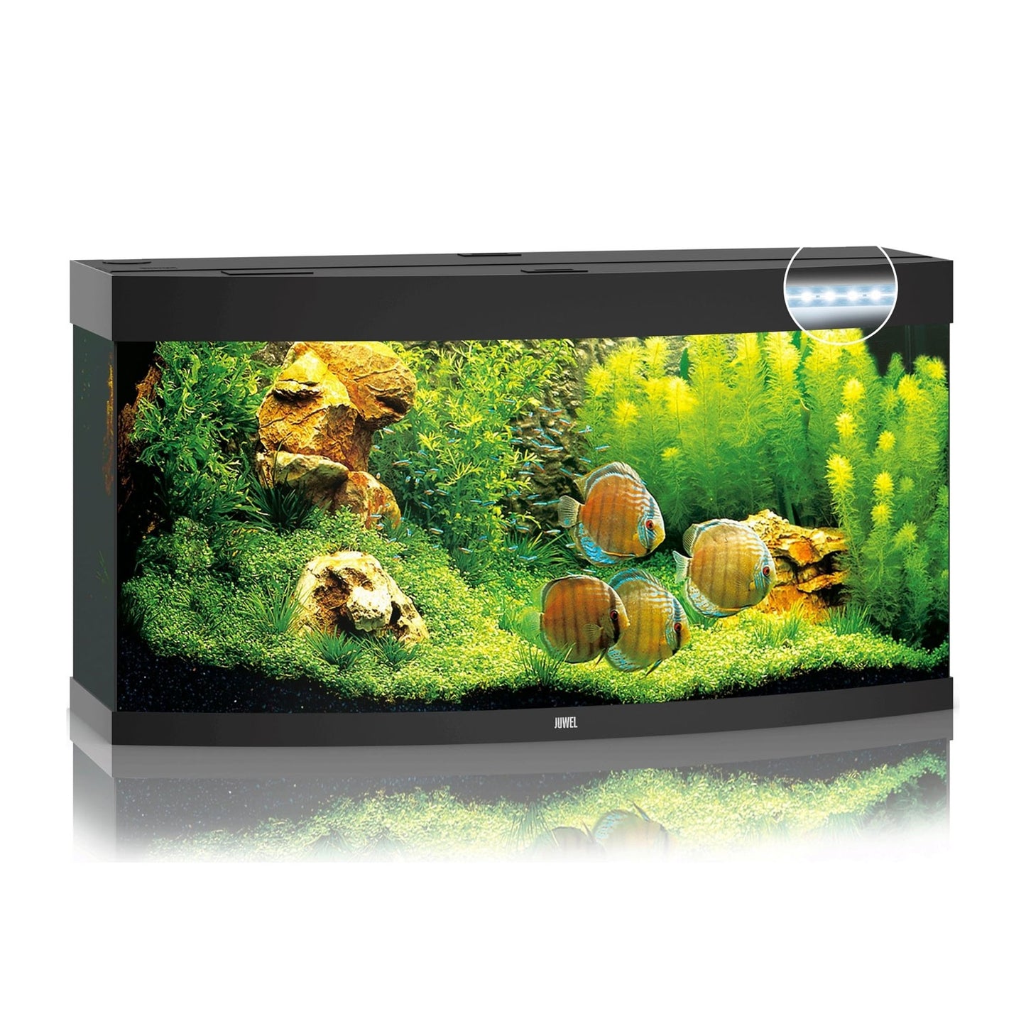 Juwel Vision 260 Led Acquario In Vetro Completo 121x46x64cm