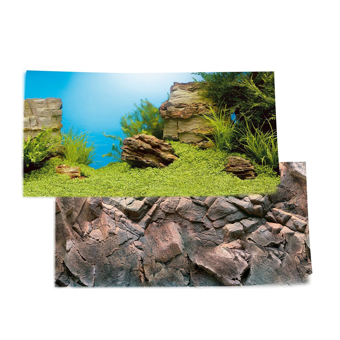 Juwel Poster1 Sfondo Decorativo Esterno Posteriore Per Acquari