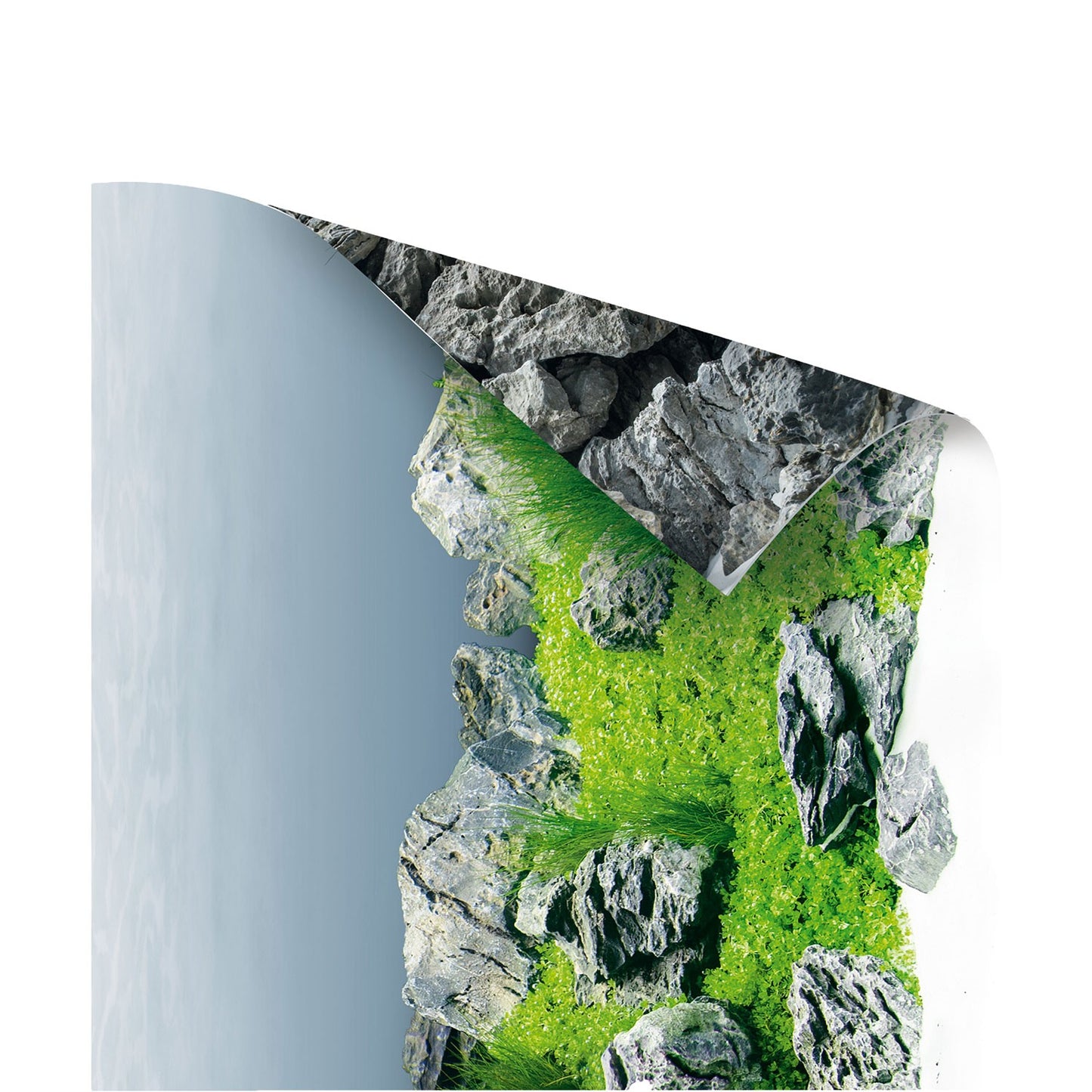 Juwel Poster4 Sfondo Decorativo Esterno Posteriore Per Acquari