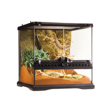 Exoterra Terrario in Vetro per Rettili Tartarughe 30x30x30