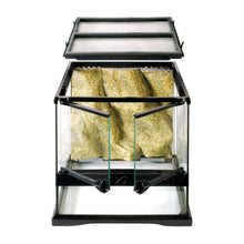 Exoterra Terrario in Vetro per Rettili Tartarughe 30x30x30