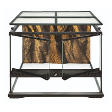 Exoterra Terrario in Vetro per Rettili Tartarughe 45x45x30