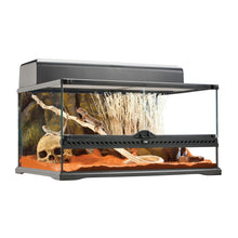 Exoterra Terrario in Vetro per Rettili Tartarughe 60x45x30