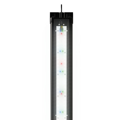 Juwel HeliaLux Spectrum Lampada LED Per Acquari D'Acqua Dolce