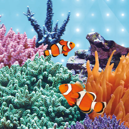 Juwel LED Blue Illuminazione A Led Per Acquari Marini