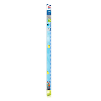 Juwel LED Blue Illuminazione A Led Per Acquari Marini