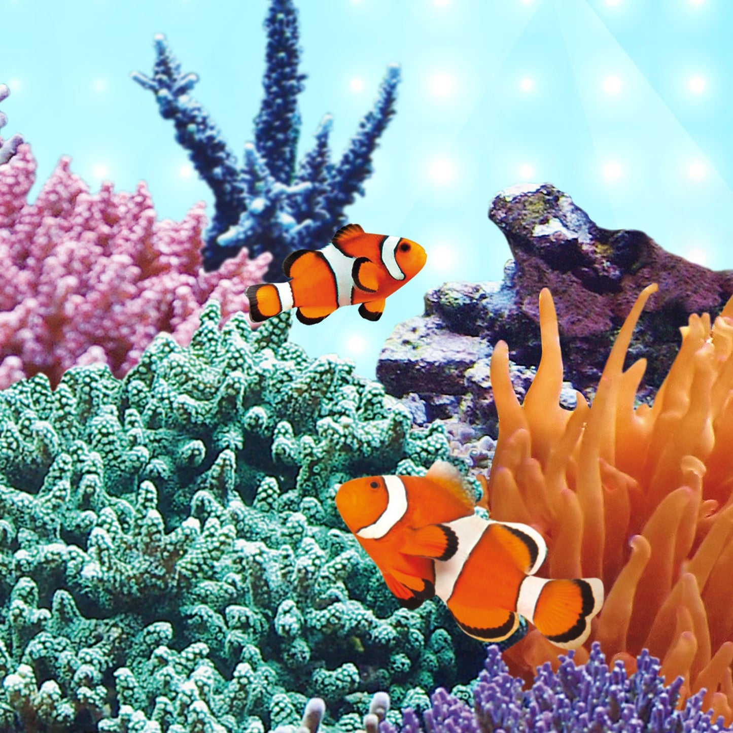 Juwel LED Marine Illuminazione A Led Per Acquari Marini
