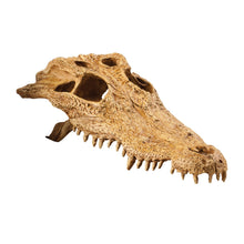 Exoterra Teschio di Coccodrillo Nascondiglio per Rettili Terrari
