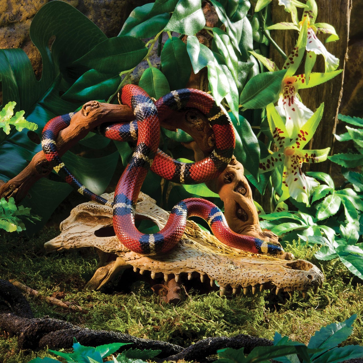 Exoterra Teschio di Coccodrillo Nascondiglio per Rettili Terrari