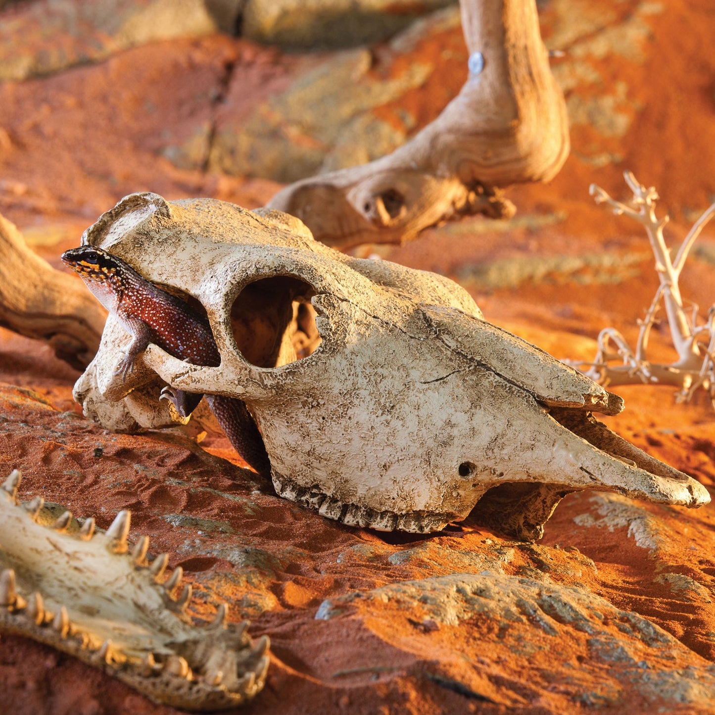Exoterra Teschio di Bufalo Nascondiglio per Rettili Terrari