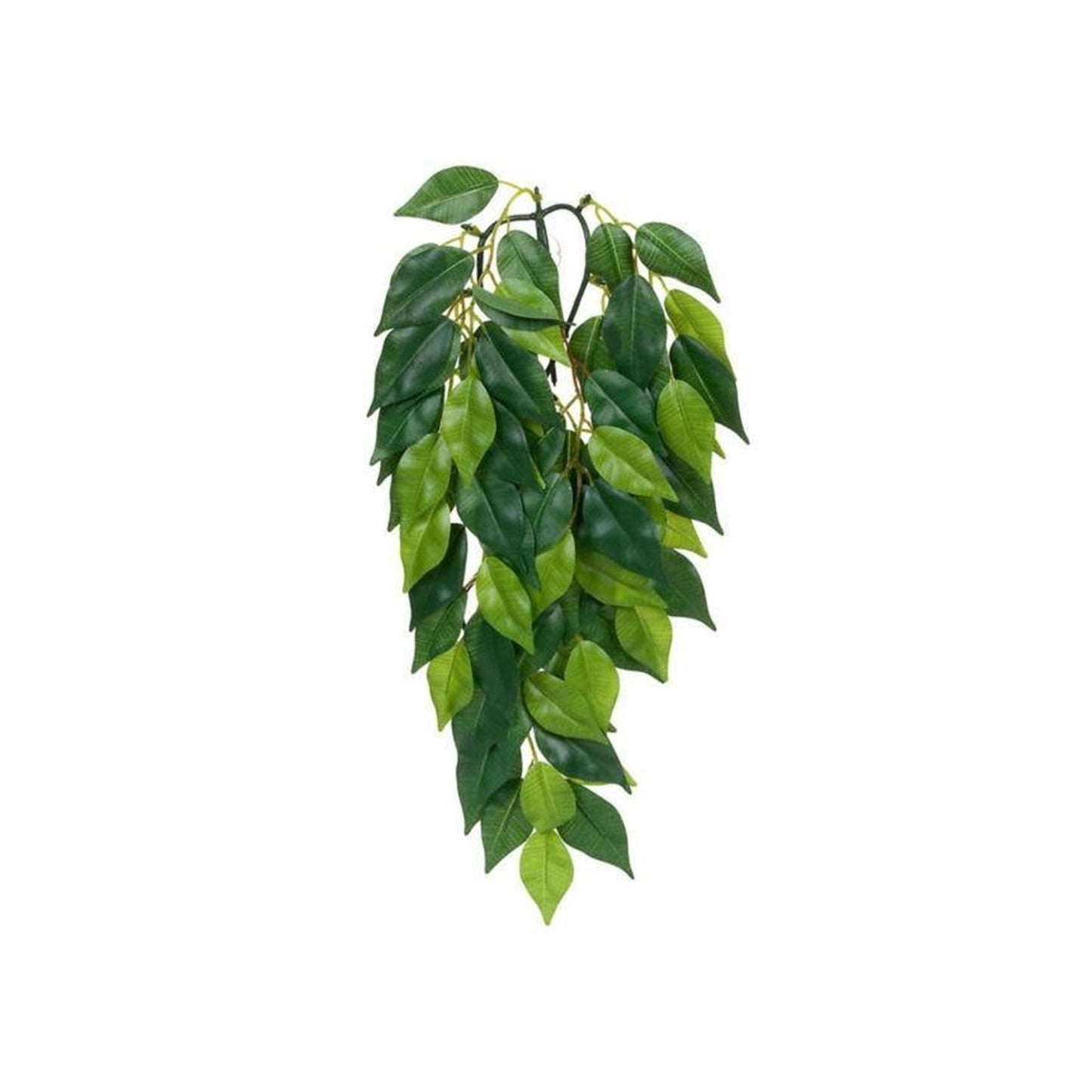 Exoterra Jungle Plants Ficus Decorativo Piante Sospese Fico per Terrari
