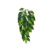 Exoterra Jungle Plants Ficus Decorativo Piante Sospese Fico per Terrari