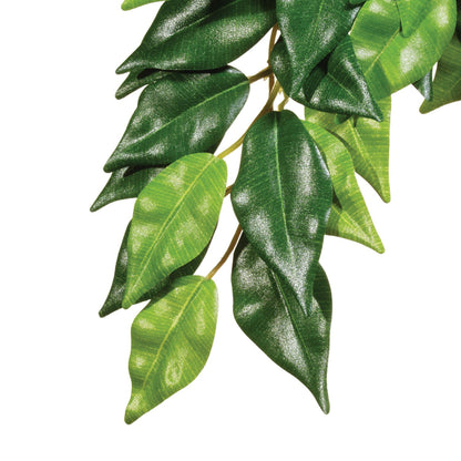 Exoterra Jungle Plants Ficus Decorativo Piante Sospese Fico per Terrari