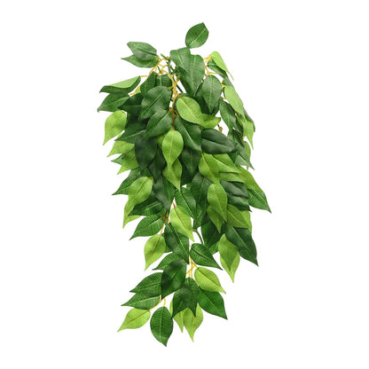 Exoterra Jungle Plants Ficus Decorativo Piante Sospese Fico per Terrari