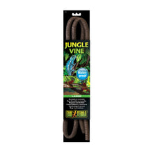 Exoterra Jungle Vines Decorativo Piante Liane per Terrari Large