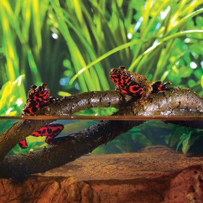 Exoterra Jungle Vines Decorativo Piante Liane per Terrari Large