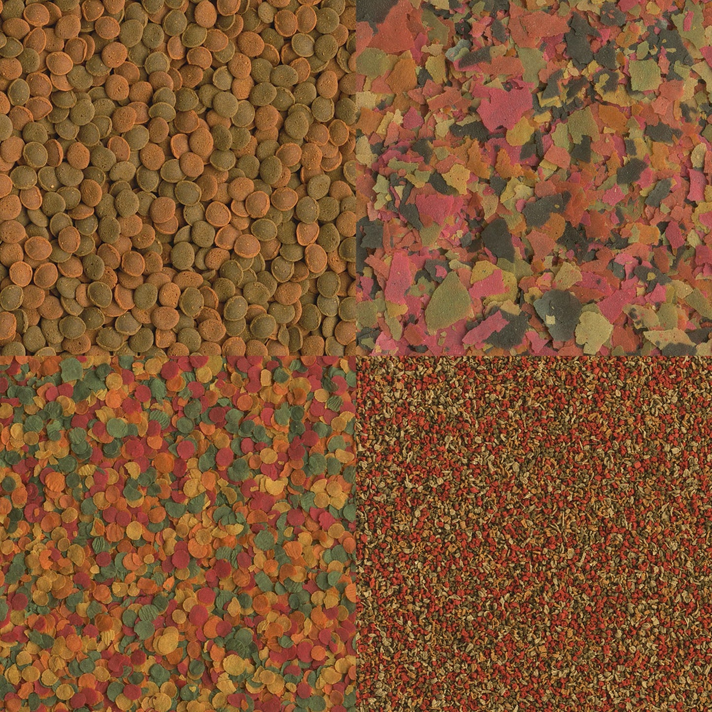 Tetra Selection Mix di Mangimi per Pesci Tropicali