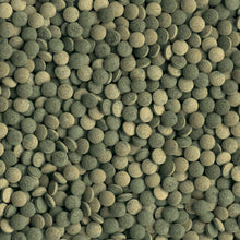 Tetra Pleco Tablets compresse per pesci erbivori da fondo 120 tav