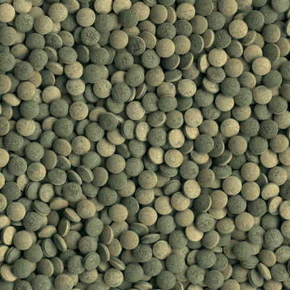 Tetra Pleco Tablets compresse per pesci erbivori da fondo 120 tav