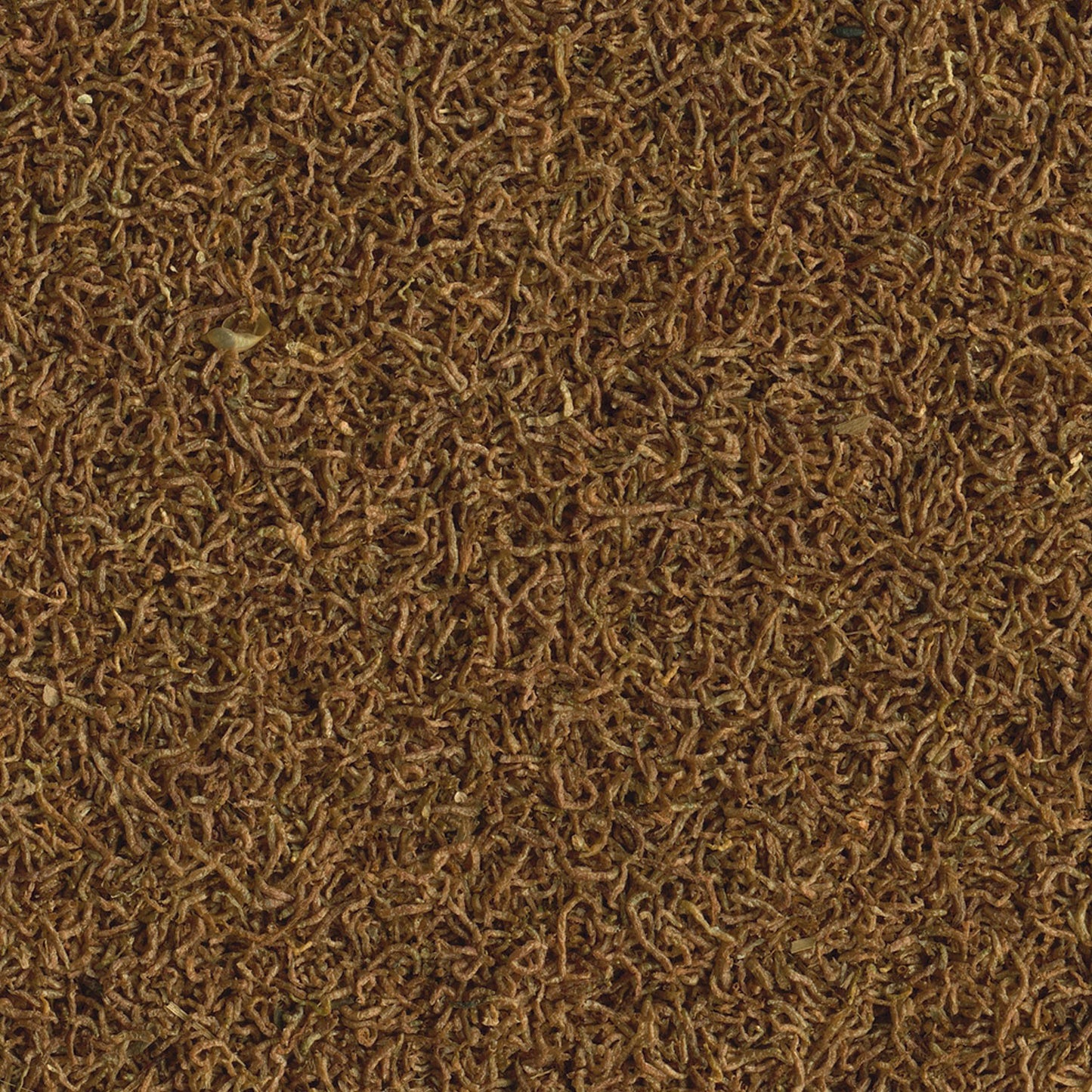 Tetra Delica Chironomus Larve di zanzare Liofilizzato Mangime Naturale per tutti i pesci tropicali 100 ml