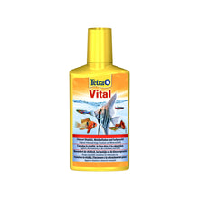 Tetra Vital complesso di Vitamine per il benessere dei pesci Tropicali