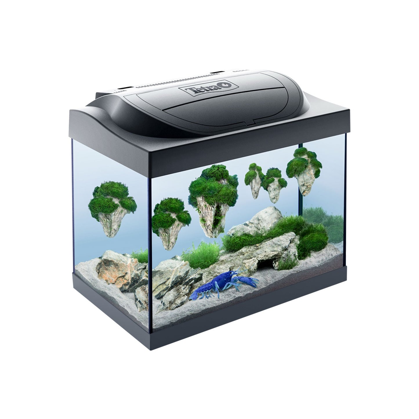 Tetra Acquario in Vetro Starter Line 30 Litri Completo di Luce e Filtro