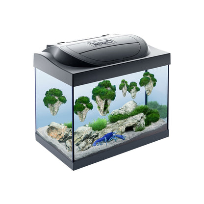 Tetra Acquario in Vetro Starter Line 30 Litri Completo di Luce e Filtro