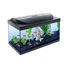 Tetra Acquario in Vetro Starter Line 54 Litri Completo di Luce e Filtro e Riscaldatore per Pesci Tropicali