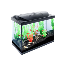 Tetra Acquario in Vetro Starter Line 80 Litri Completo di Luce e Filtro e Riscaldatore per Pesci Tropicali