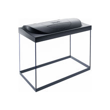 Tetra Acquario in Vetro Starter Line 80 Litri Completo di Luce e Filtro e Riscaldatore per Pesci Tropicali