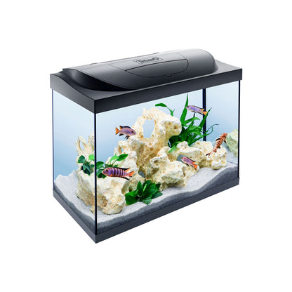 Tetra Acquario in Vetro Starter Line 80 Litri Completo di Luce e Filtro e Riscaldatore per Pesci Tropicali
