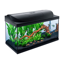 Tetra Acquario in Vetro Starter Line 105 Litri Completo di Luce e Filtro e Riscaldatore per Pesci Tropicali