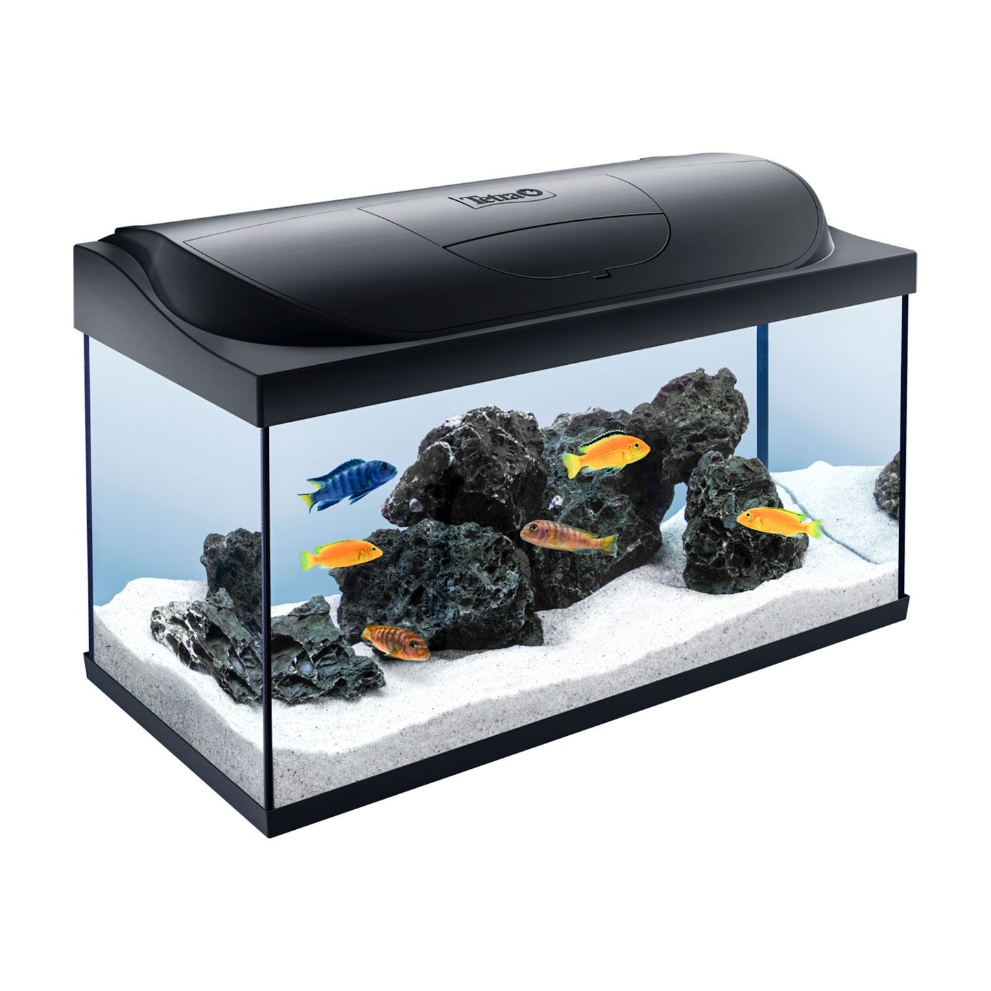 Tetra Acquario in Vetro Starter Line 105 Litri Completo di Luce e Filtro e Riscaldatore per Pesci Tropicali