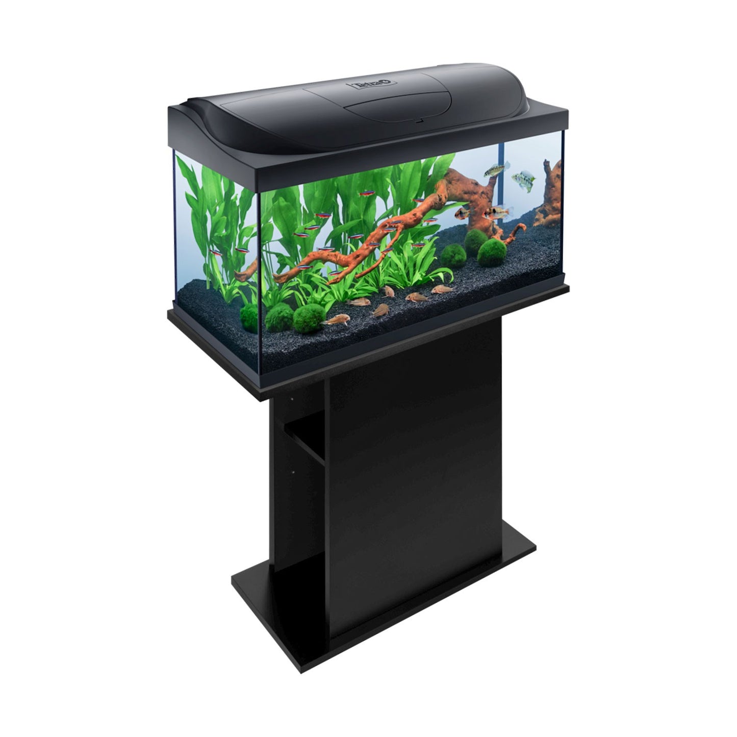 Tetra Acquario in Vetro Starter Line 105 Litri Completo di Luce e Filtro e Riscaldatore per Pesci Tropicali