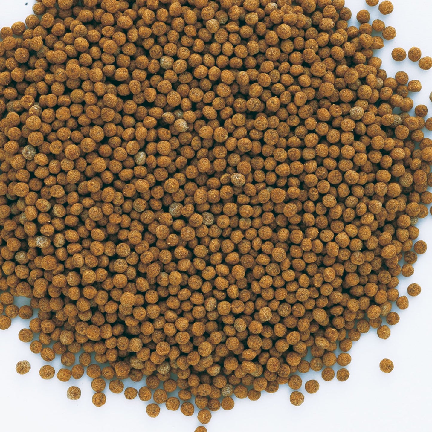 Tetra GoldFish Granules Mangime Granulato per Pesci rossi e d'acqua Fredda