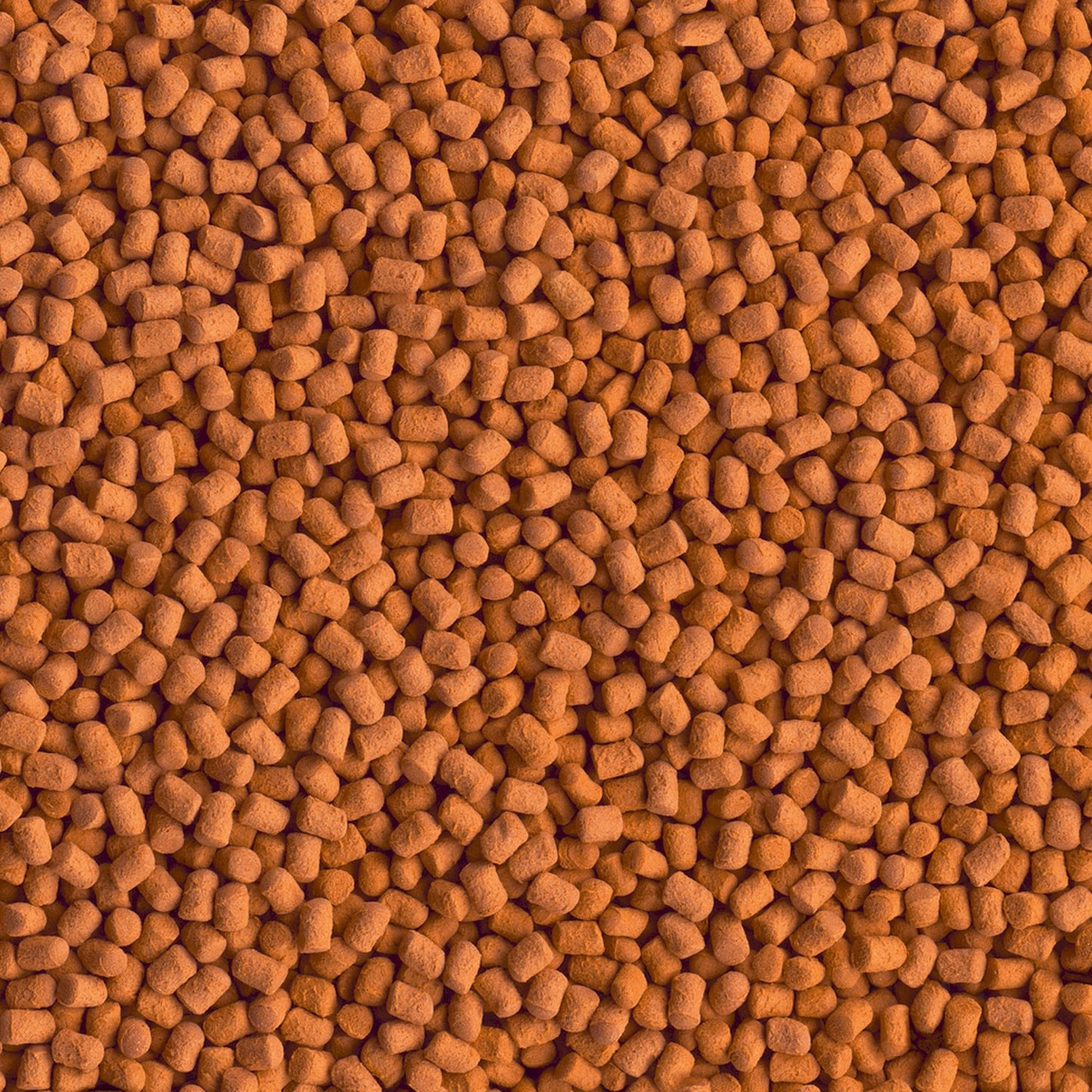 Tetra ReptoMin Energy alimento bilanciato ricco di sostanze nutritive per Tartarughe acquatiche