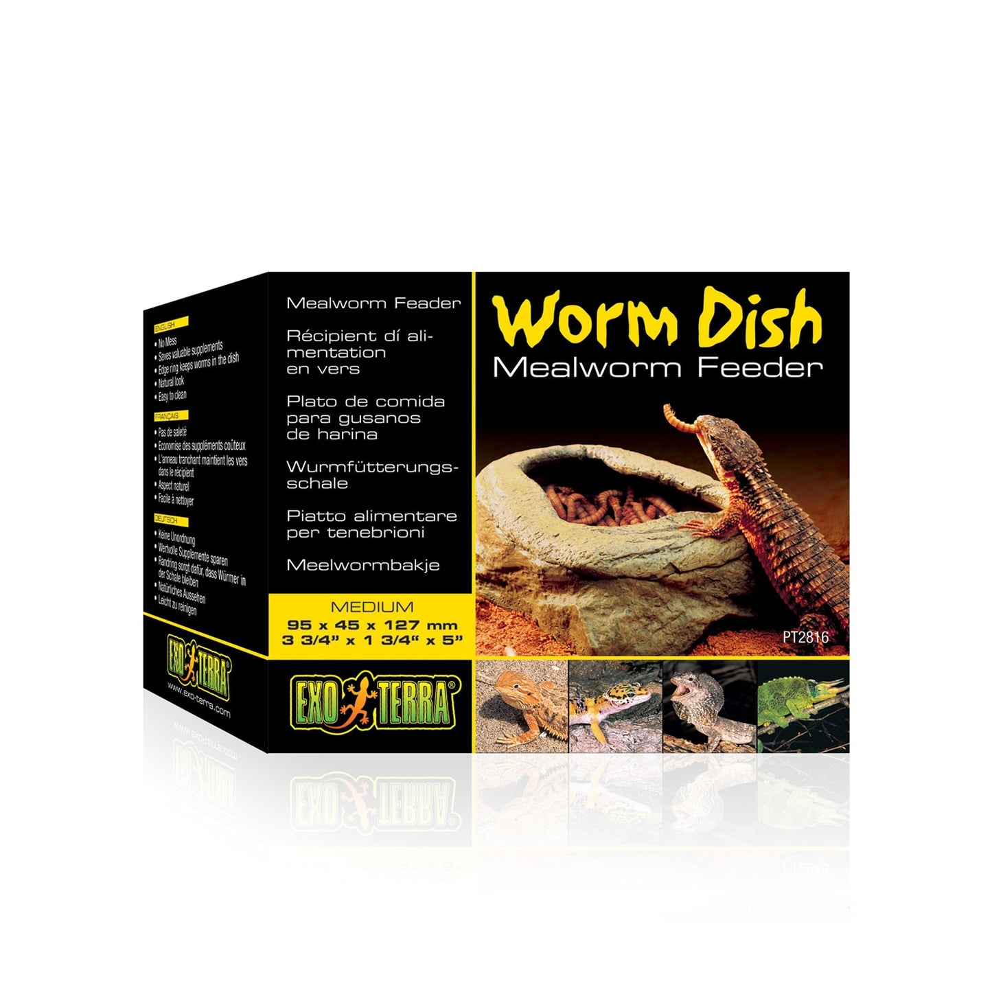 Exoterra Worm Dish Piatto Alimentare Mangiatoia Cibo per Vermi Rettili Terrari