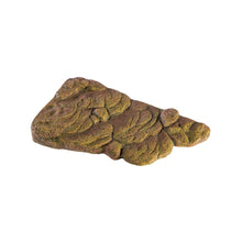 Exoterra Turtle Banks Isola Galleggiante Magnetica Decorativo per Tartarughe