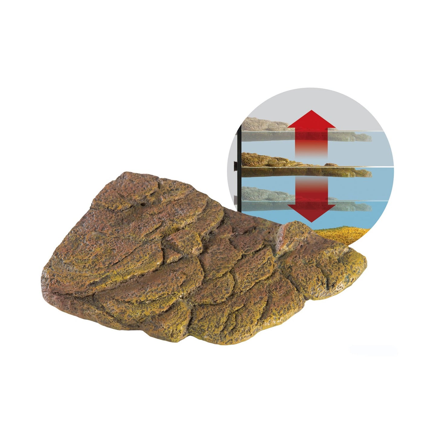 Exoterra Turtle Banks Isola Galleggiante Magnetica Decorativo per Tartarughe