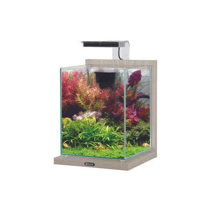 Zolux Jalaya 2 Acquario in Vetro con Supporto Illuminazione Filtro 10 L